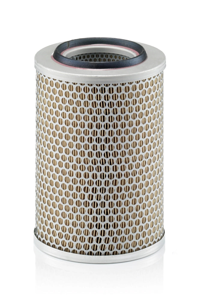 MANN-FILTER C 17 201 Filtru aer