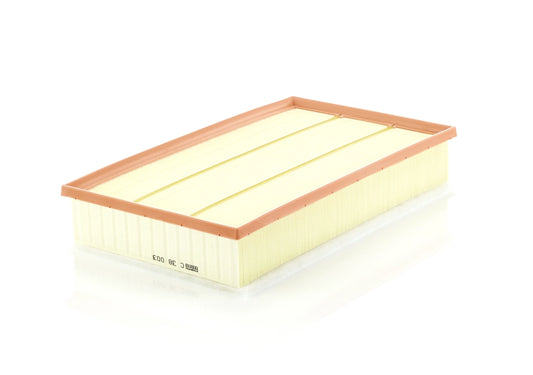 MANN-FILTER C 38 003 Filtru aer