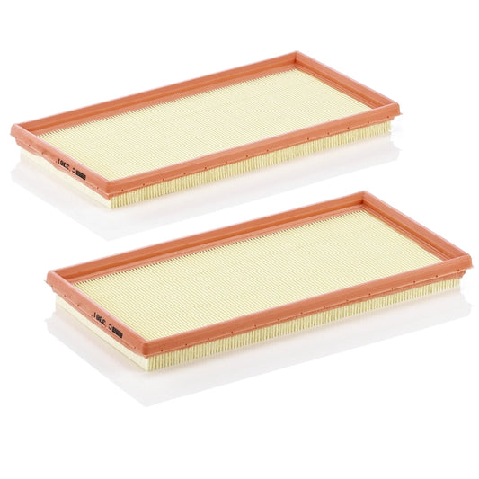 MANN-FILTER C 3361-2 Filtru aer