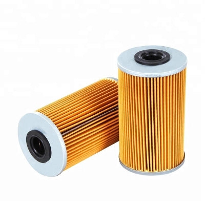 MTR 12138336 Filtru combustibil