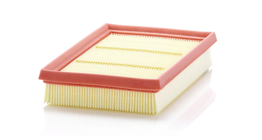 MANN-FILTER C 24 076 Filtru aer