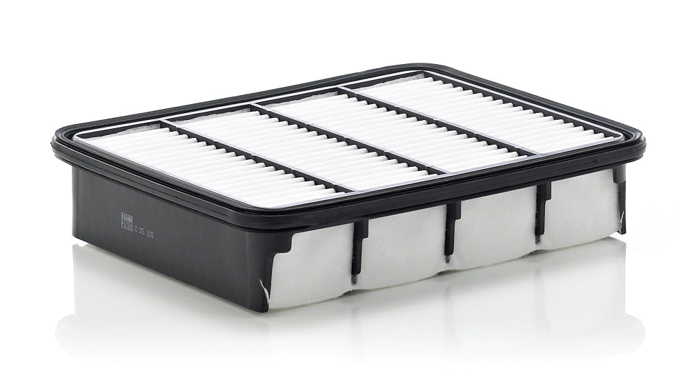 MANN-FILTER C 25 128 Filtru aer