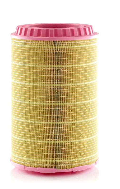 MANN-FILTER C 38 3062 Filtru aer