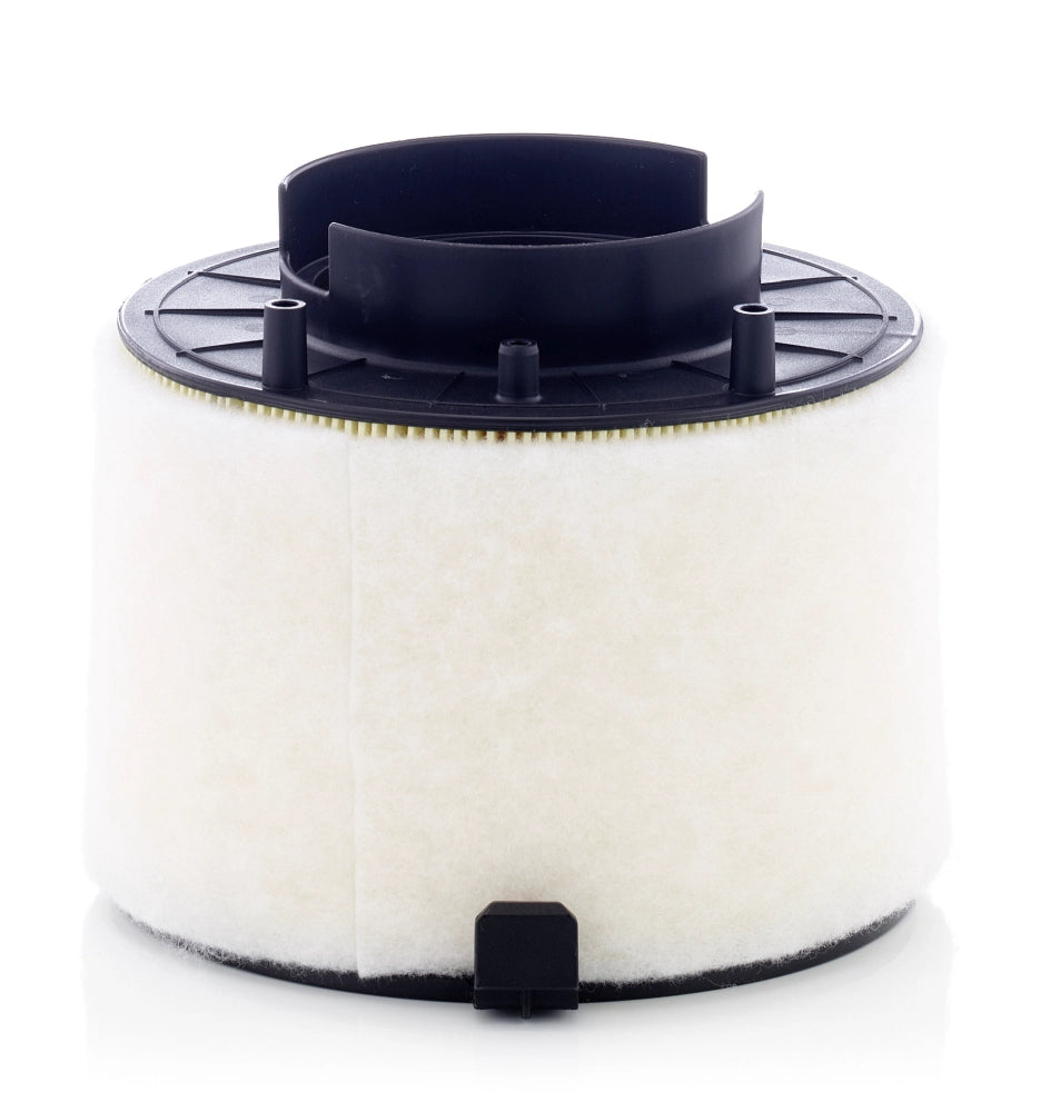 MANN-FILTER C 17 009 Filtru aer