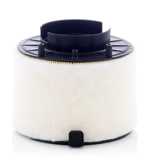MANN-FILTER C 17 009 Filtru aer