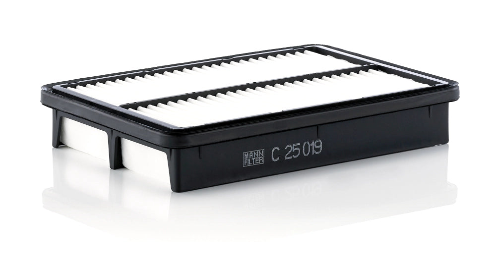 MANN-FILTER C 25 019 Filtru aer