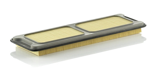 MANN-FILTER C 4373/1 Filtru aer